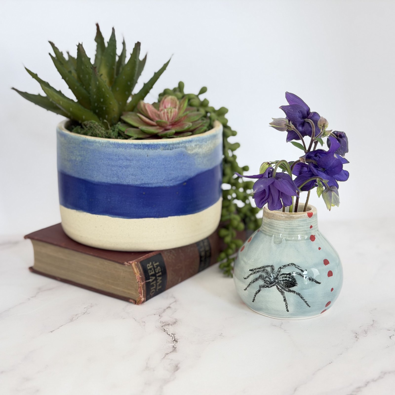 Striped planter with succulents beside a flower bud vase